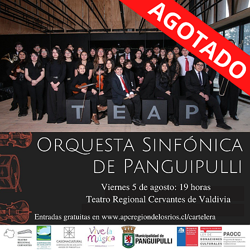 “Orquesta Sinfónica de Panguipulli” en el Teatro Regional Cervantes (Segundo Concierto)