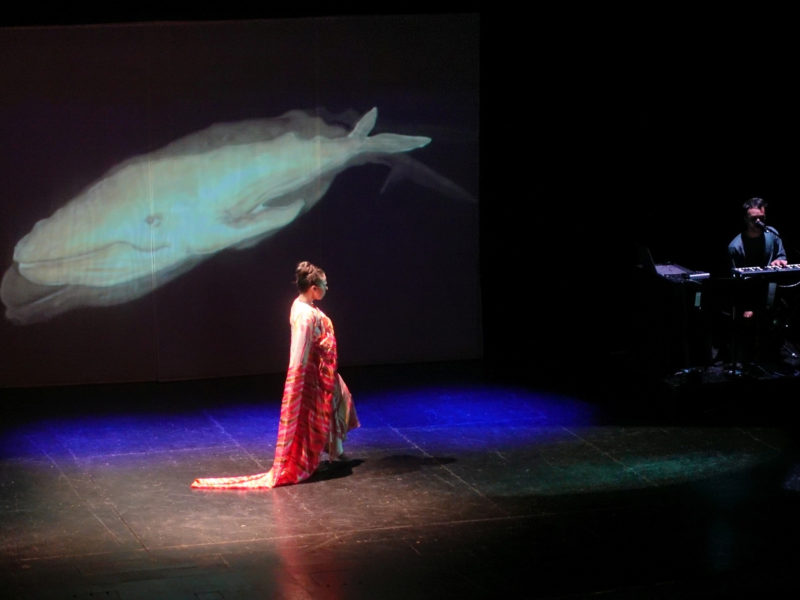 “¿Quién es Julia?” se exhibirá por segunda vez en el Teatro Regional Cervantes de Valdivia