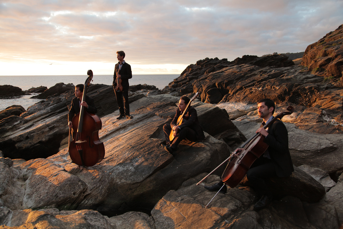 Una década de música: “Patagonien Quartett” celebrará su aniversario en el Teatro Regional Cervantes de Valdivia