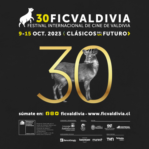 Festival internacional de Cine de Valdivia: Sala Teatro Regional Cervantes 