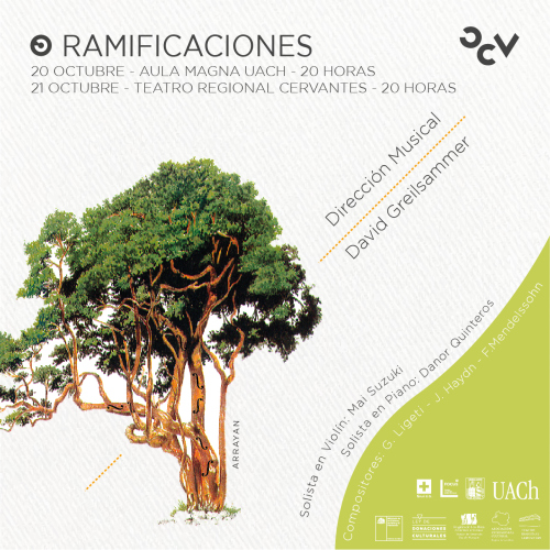 OCV presenta “Ramificaciones” en el Teatro Regional Cervantes de Valdivia