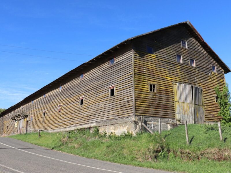 Encuentro sobre el patrimonio arquitectónico en madera de la región se llevará a cabo en Valdivia y Paillaco